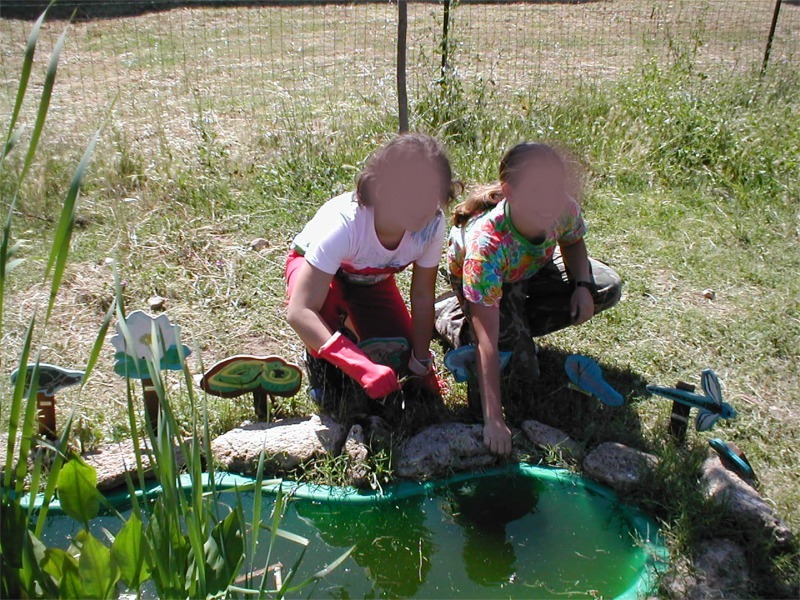 Educazione ambientale: progetto riqualificazione giardino